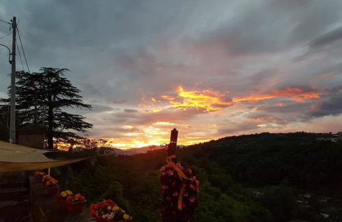 Filocase The Terrace of Storytellers - Foto 13