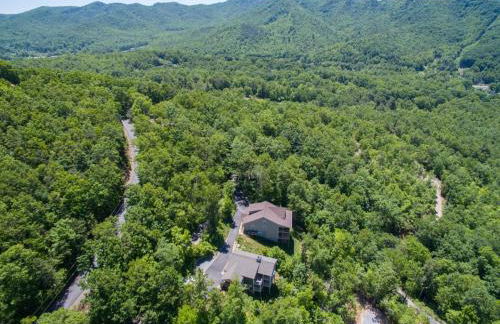 Almost Bearadise - Foto 36