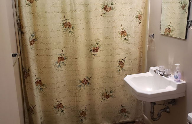 lazy bear cabins - Foto 46