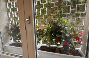 Spagnuolo Apartment Stabiae Coast - Foto 19