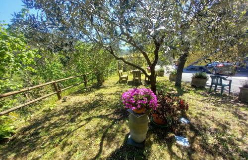 Il sogno di Gaggiuin - Foto 15