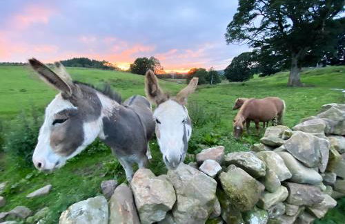 Lily Rose Cottage - Foto 12