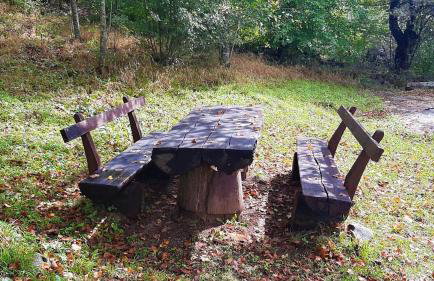 Villa Bornstein - Photo 25