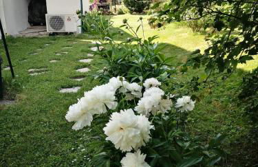 Maison 3 étoiles avec jardin pour familles, sportifs, curistes... - Foto 11