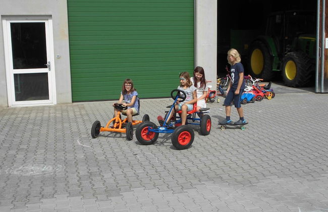 Erlebnishof Reiner - Foto 17