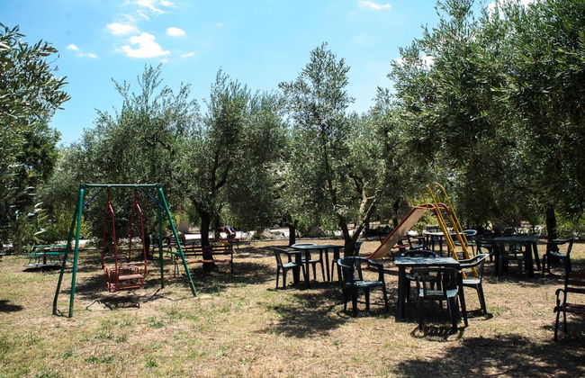 Agriturismo Serine - Foto 51