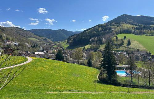 Hübsche Ferienwohnung im Herzen des Schwarzwalds - Photo 2