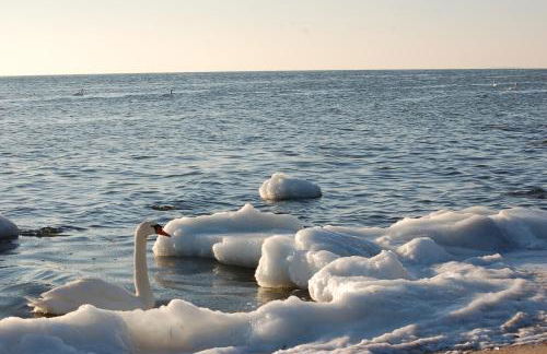 Sun Island - Foto 42