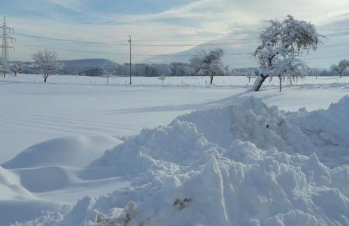 Ferienhaus Heerlichkeit - Foto 24