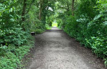 HOUSE MALIBU L mit Sauna am See - Foto 23