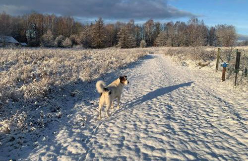 Krecia Dolina - Kaszubskie Wzgórza - Foto 47