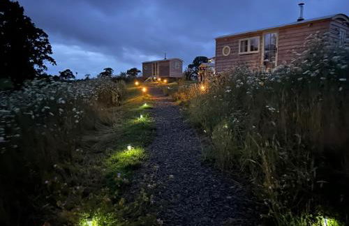 Cosy Owls Roost Hut With Private Hot Tub - Foto 57