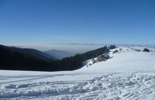 Gite châlet nature haute vosges - Foto 46