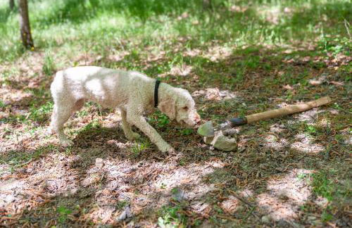 Agriturismo Le Dolci Colline - Photo 38