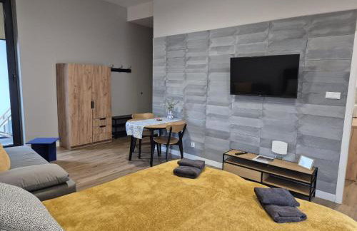 APARTAMENTY PRUCHNICKA - Foto 71