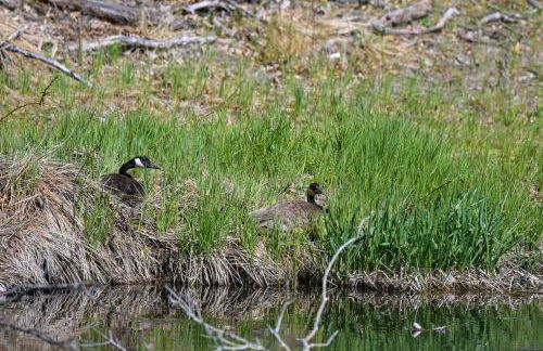 Ice Fishing On-Site Waterfront Nekoosa Home! - Foto 34