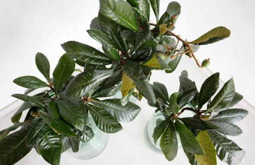 Petit Artà - Foto 13