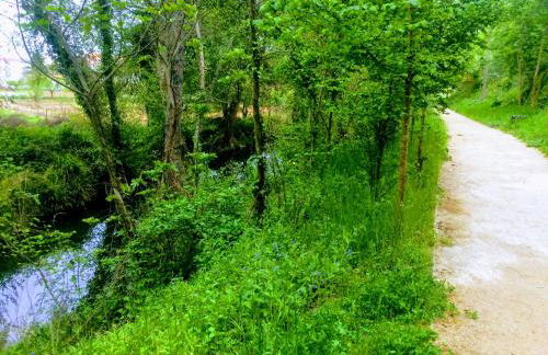 Casa de Férias MariCeu Mirandela - Foto 45