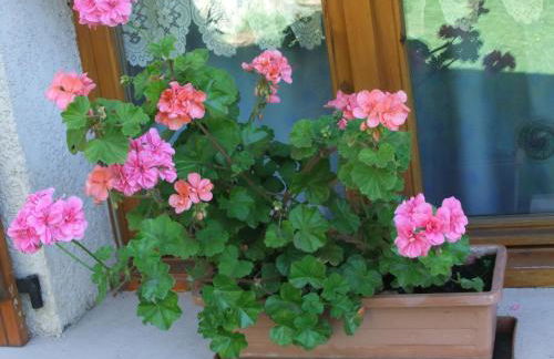 Gîte Les Grands Champs - Foto 50