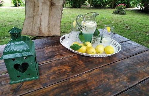 La Chimenea Cantabra - Foto 25