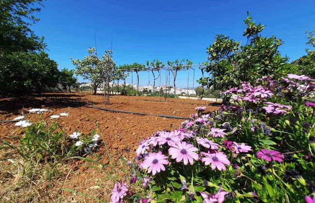 Crete Country Escape 2 Bd w Patio - Photo 39