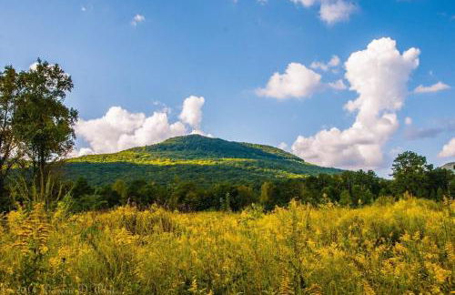Blue Hole at Pigeon Mtn Wildlife Mgmt Area - Foto 29