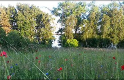 Ferienwohnung Mäckelborg am schönen Woblitzsee - Foto 7