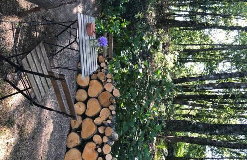 Barn House do Ecotourism Quinta Lamosa - Foto 78