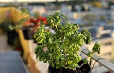 Casa La Selva-Vue magnifique - Foto 7