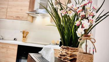 Apparemment Cosy - Centre Auch - Photo 4