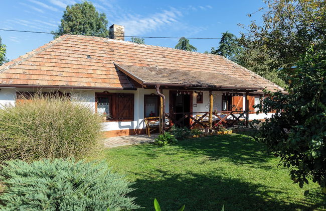 The Bird of Happiness-heaven for Dogs - Foto 37