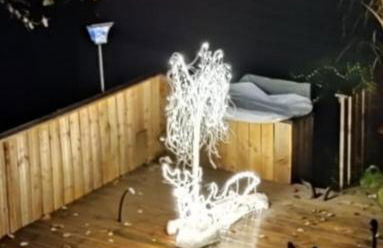 Schwarzwald Appartement - Foto 34