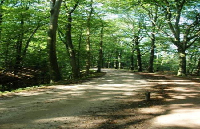 Stylish Escape in Enter - Foto 41