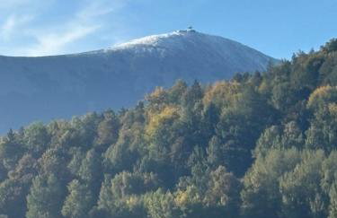 Bryziówka B - Foto 35