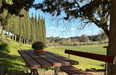 Podere Le Grotte - Foto 10