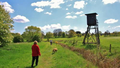Ferien-und Bauernhof Gauster - Foto 2