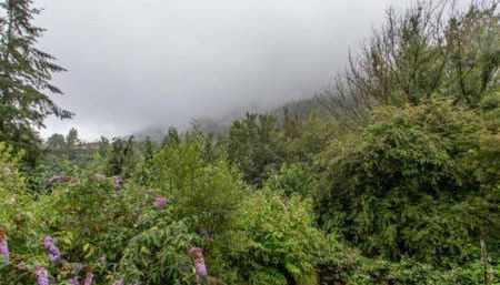 Selah Cottage, 21 Queen Street - Foto 4