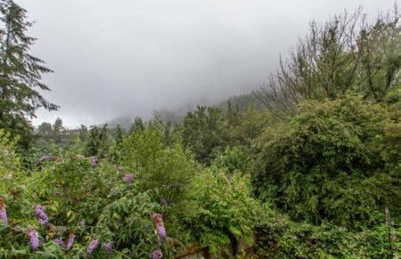 Selah Cottage, 21 Queen Street - Foto 4