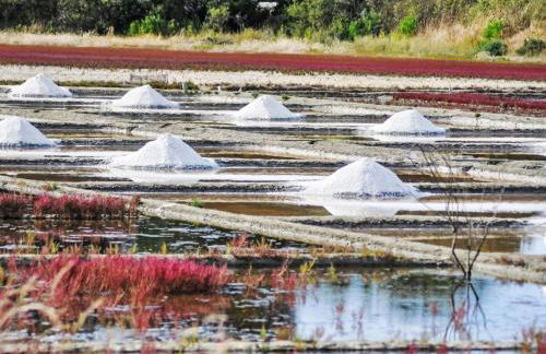 Holiday Home Chalet moderne La Baule-Guérande by Interhome - Foto 32