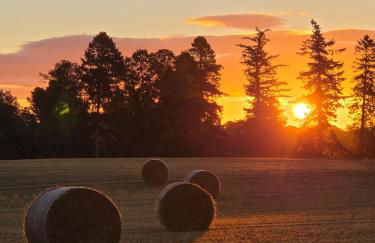 The Cairn at North Lodge, Rural Guest Suite - Foto 50