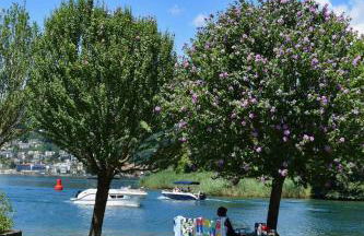 Lago di Lugano - Casa Cecilia - Foto 27