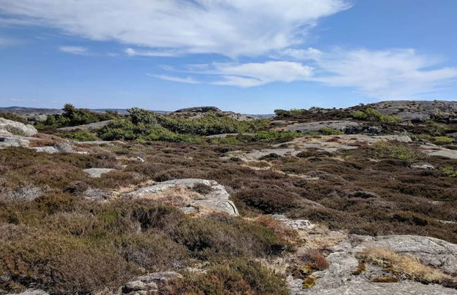 4 Person Holiday Home in Kyrkesund-by Traum - Foto 22