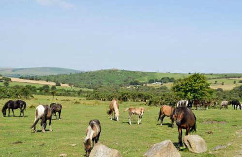 Trecarne Cottage - Foto 19
