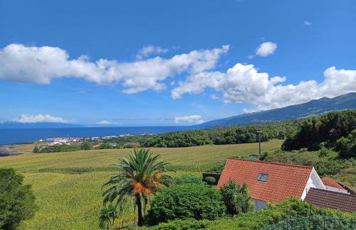 Vista da Baía - Casa do Aniceto - Photo 33