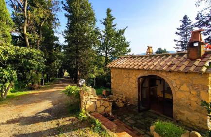 Podere Mona - Foto 8