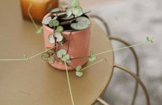 Urban corner house - Foto 15