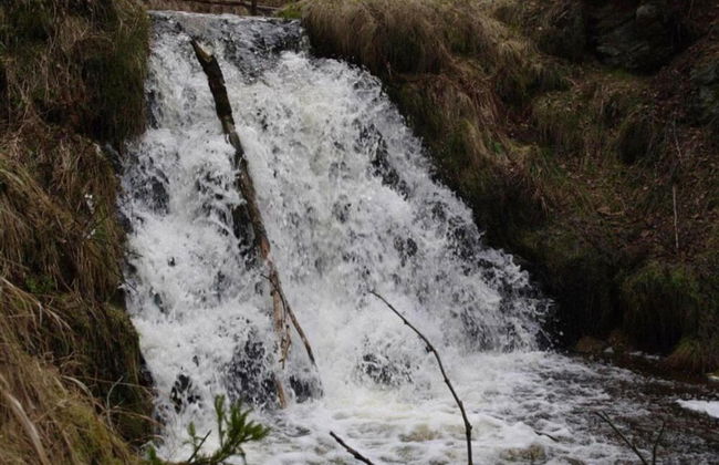 House in Bohemian Near Ski Slope - Foto 32