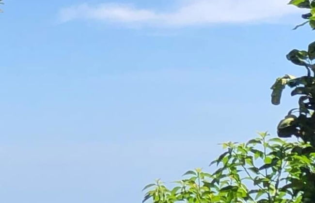 Pedra Bonita Flats - Foto 46