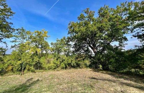 Casale Delle Querce farmhouse in Giove Umbria with pool - Foto 79