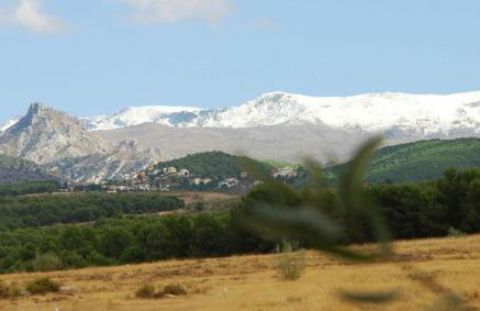 El Rincon de Pepa - Foto 12